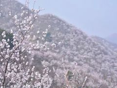 -龙泉峪长城