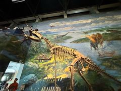 -自贡恐龙博物馆