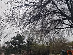 -丰台花园