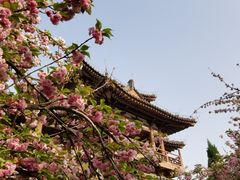 -西安青龙寺遗址景区
