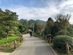 -贵阳市花溪国家城市湿地公园