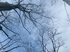 -静安公园(静安寺街道)