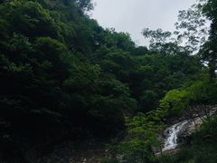 -宁波五龙潭景区