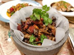 茶树菇黄焖鸡-钦善斋(武侯祠店)
