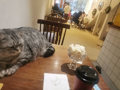 -猫友咖啡店(玉林西路店)