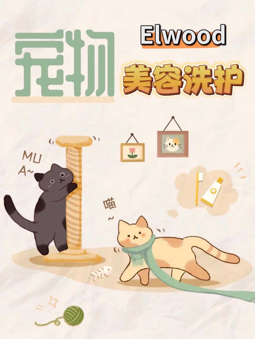 猛啾嗷呜~啾!图片