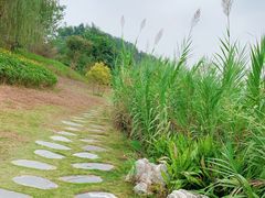 -中国天府农业博览园