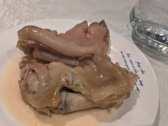 -丁老爷子苏香圆
