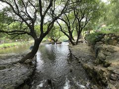 -武汉姚家山旅游景区