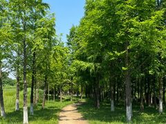 -良渚古城遗址公园