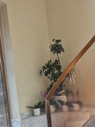 -头道汤·茜曼缇娜