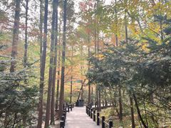 -国家植物园南园