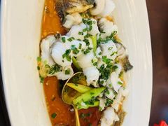 清蒸笋壳鱼-碧丽宫大酒店(召稼楼店)