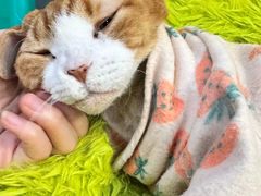 -和它·交个朋友·狗咖猫咖(爱琴海店)