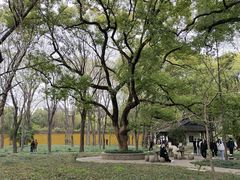 -西园戒幢律寺