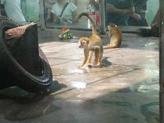 -西安秦岭野生动物园