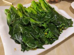 白灼菜心-明泉居茶点荟(车陂店)