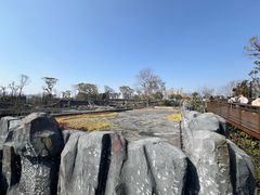 -武汉动物园