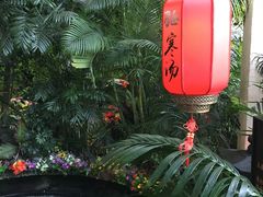 -东方华地城湿地温泉度假区