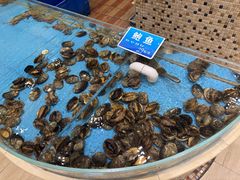 -双井轩(双井店)