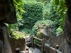 -游龙石文化科普馆