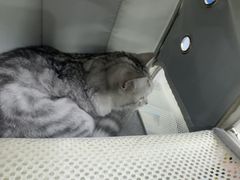 -博特宠物医院24h犬猫全科.骨科·异宠