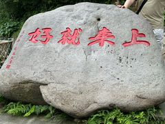 -普陀山风景区-佛顶山