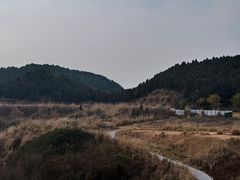 -食光全日制餐厅(绵阳首开喜来登酒店)