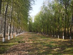 -东郊湿地公园