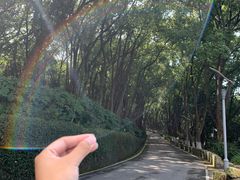 -上海市保健医疗中心