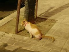 -中影国际影城(建军路金鹰购物中心店)