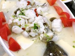 鲜茄功夫桂花鱼-榕记(番禺总店)
