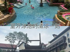 -齐河孔雀王温泉酒店·金孔雀自助百汇
