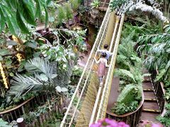 -正佳雨林生态植物园