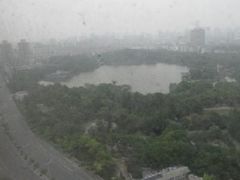 dazhong-上海新发展亚太JW万豪酒店