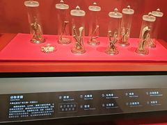 -北京大葆台遗址博物馆