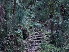 -青城山