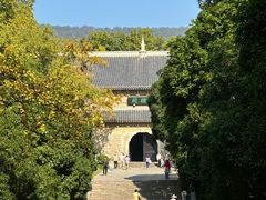 -灵谷景区