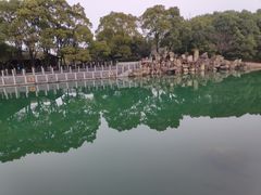 -白马涧龙池景区