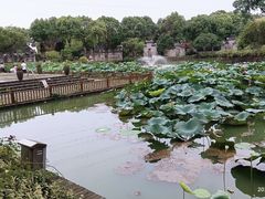 -嬉乐湾休闲旅游区