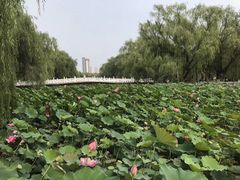 -满都海公园