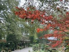 -南山植物园