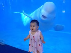 -泉城欧乐堡海洋极地世界