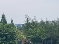 -青枫公园