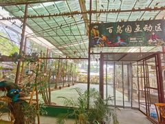 -西双版纳傣族园