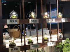 -芸山季·云南山珍菌火锅(人民广场来福士店)