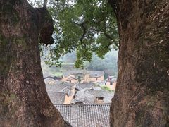 -杨家堂村
