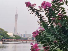 -东山湖公园
