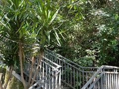 -四川宋瓷博物馆