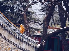 -潭柘寺景区